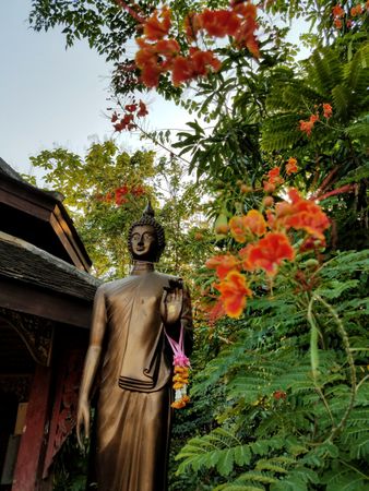 Thai Buddha in temple with orange blossoms