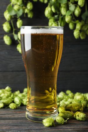 Mug with beer, spikelets and hop on wooden table, space for text