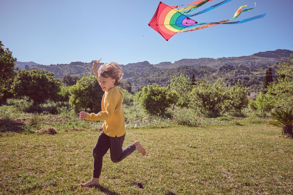 Cheerful boy with kite in nature