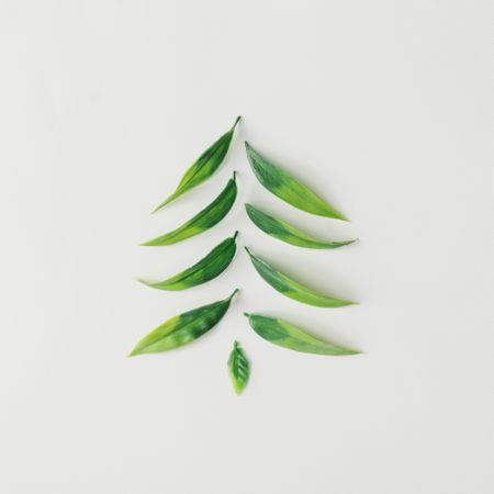 Christmas tree made of green leaves on light background