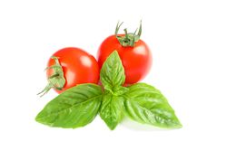 Fresh cherry tomatoes with basil isolated on light background. Ripe vegetables
