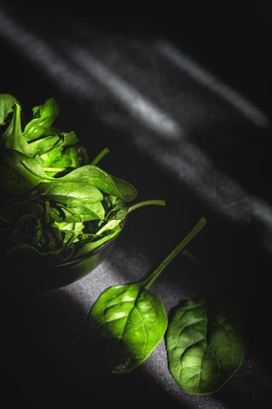 Fresh spinach on dark background