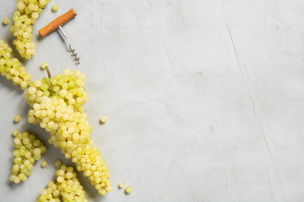 Grapes and corkscrew on gray background with copy space
