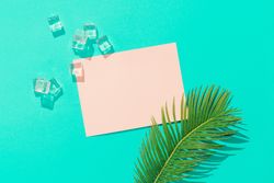 Tropical palm leaf with ice cubes and pink paper card note on vivid blue background