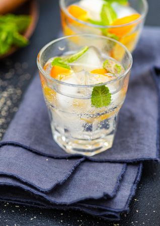 Glass of gin and tonic cocktail with lemon and mint