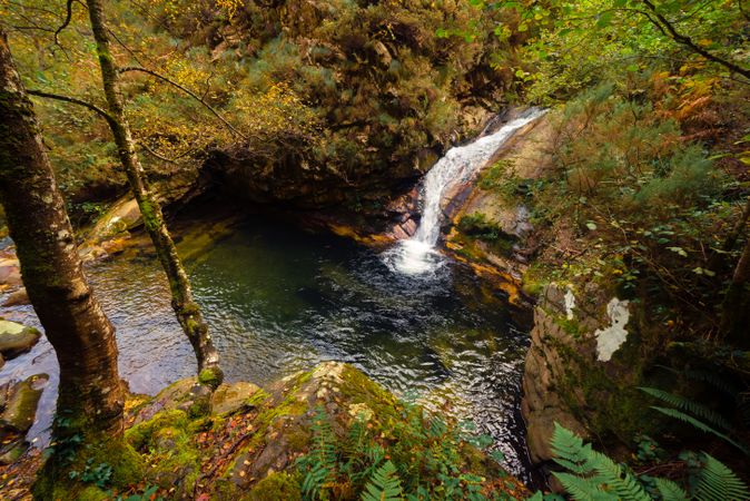 Small river and waterfall flowing in green dark beautiful forest.
