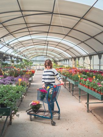 Female customer with cart on flower market
