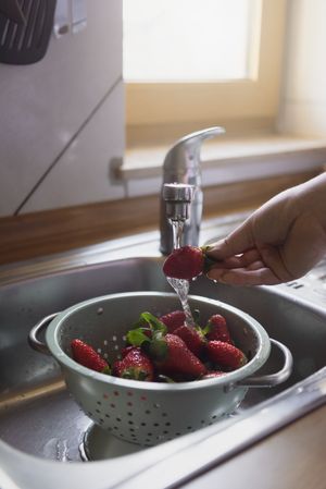 Washing strawberries in the kitchen sink