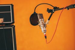 Professional studio microphone