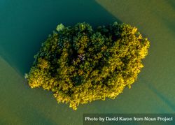 Island in a lake viewed from above 5rmY10