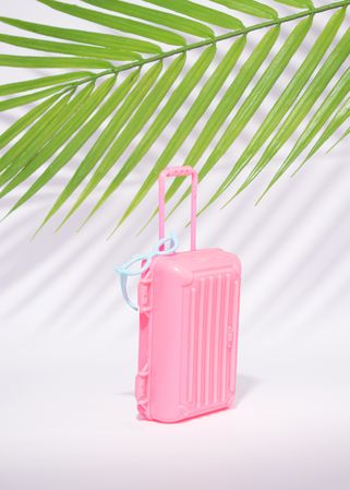 Cute plastic pink suitcase under palm leaf