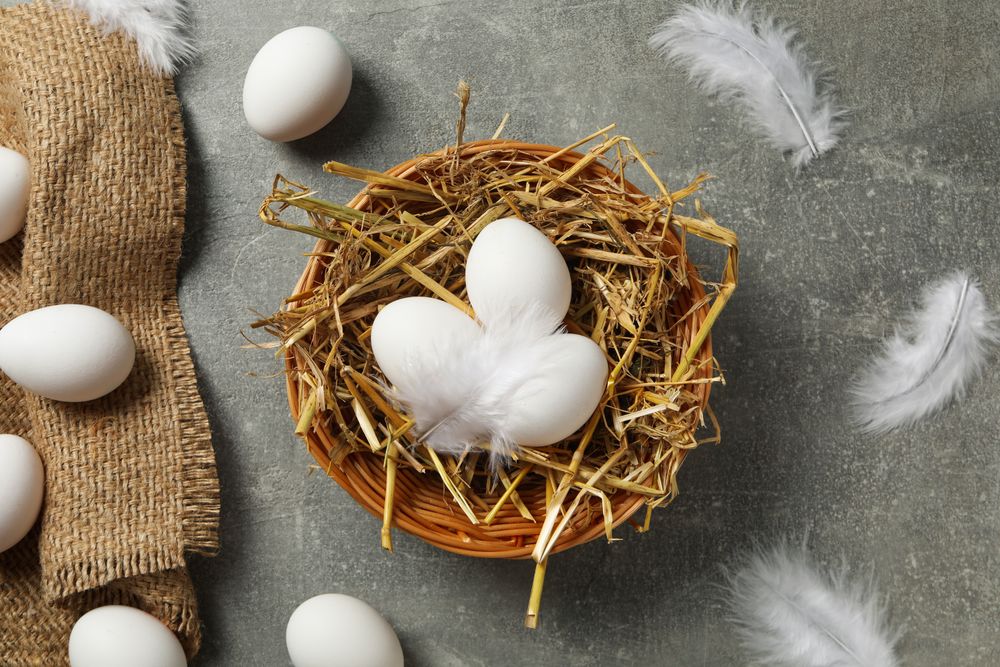 Concept of natural farm product - eggs, top view