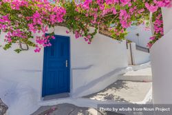Idyllic walkway with pink flowers and blue door 4AEME4