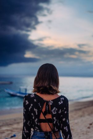 Back of woman gazing at ocean
