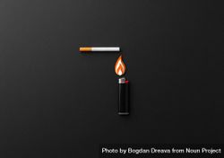 One lighter and one cigarette on dark background 4NQxl5