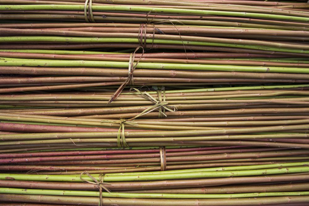 Red Green Raw Jute Texture background. This is the Called Golden Fiber in Bangladesh