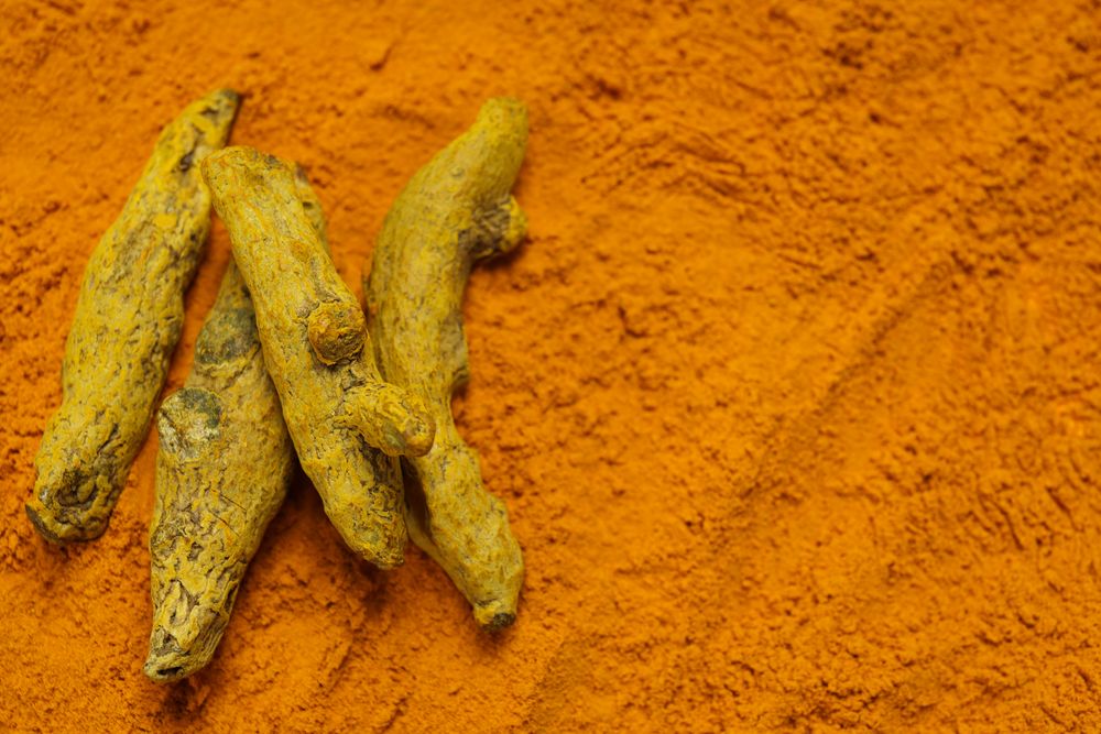 Fragrant seasoning - turmeric, one of the main ingredients in Indian curry