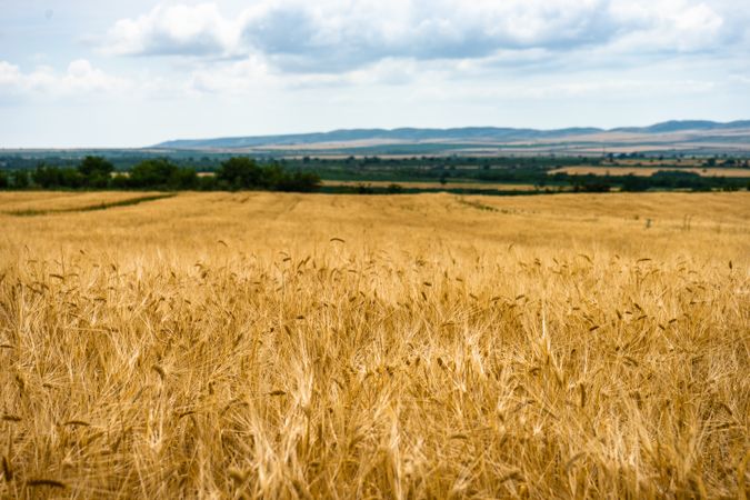 Rural field surrounded by hills