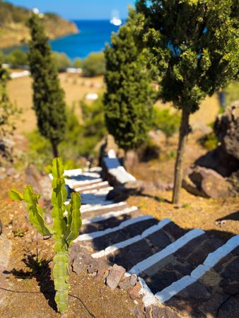 Meloi Chapel steps to garden