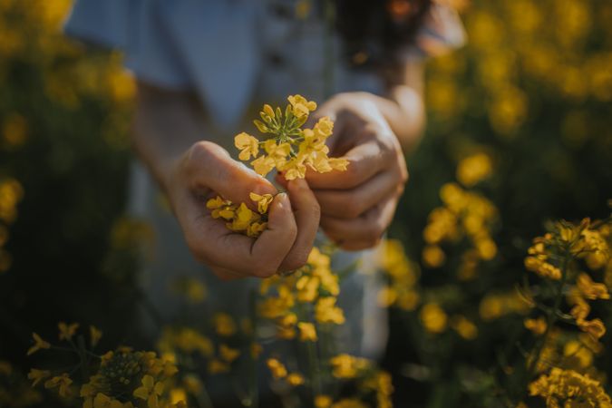 Crop woman with flowers in field