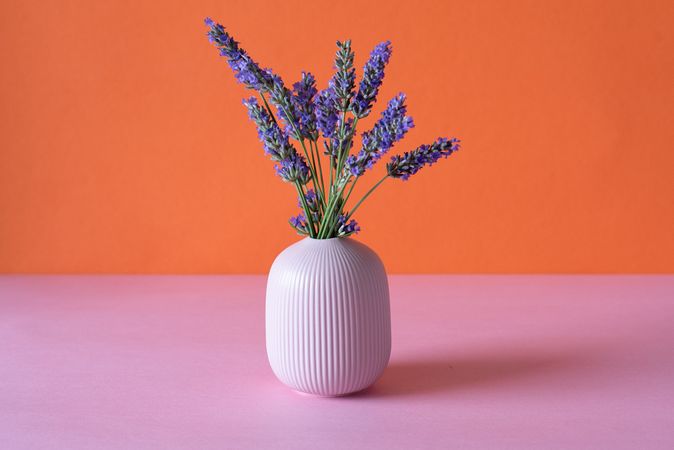 Vase of lavender flower in a pink and orange background