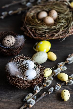 Nest with eggs and pussy willow branches on wooden table
