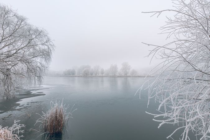 Lake frames with frosted trees