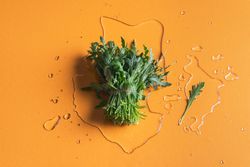 Arugula bundle on water splash and orange background