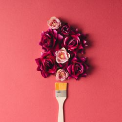 Roses and paint brush on dark coral background