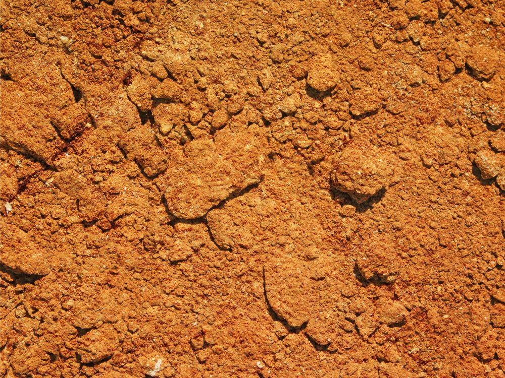 outdoor ground texture