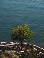 Kamloops Riverside