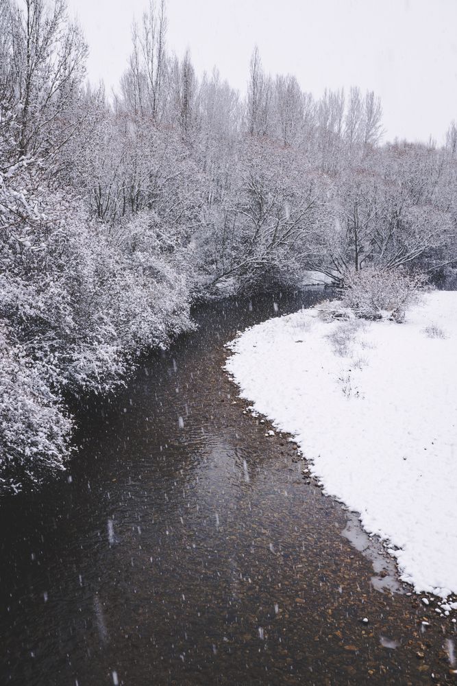 River streaming between snow forest