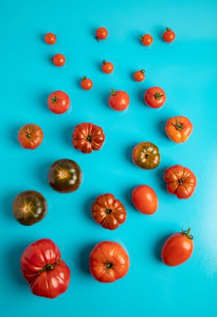 Set of assorted tomatoes