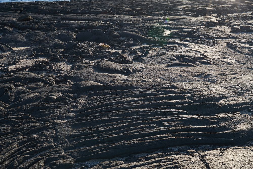 Texture of rough stone