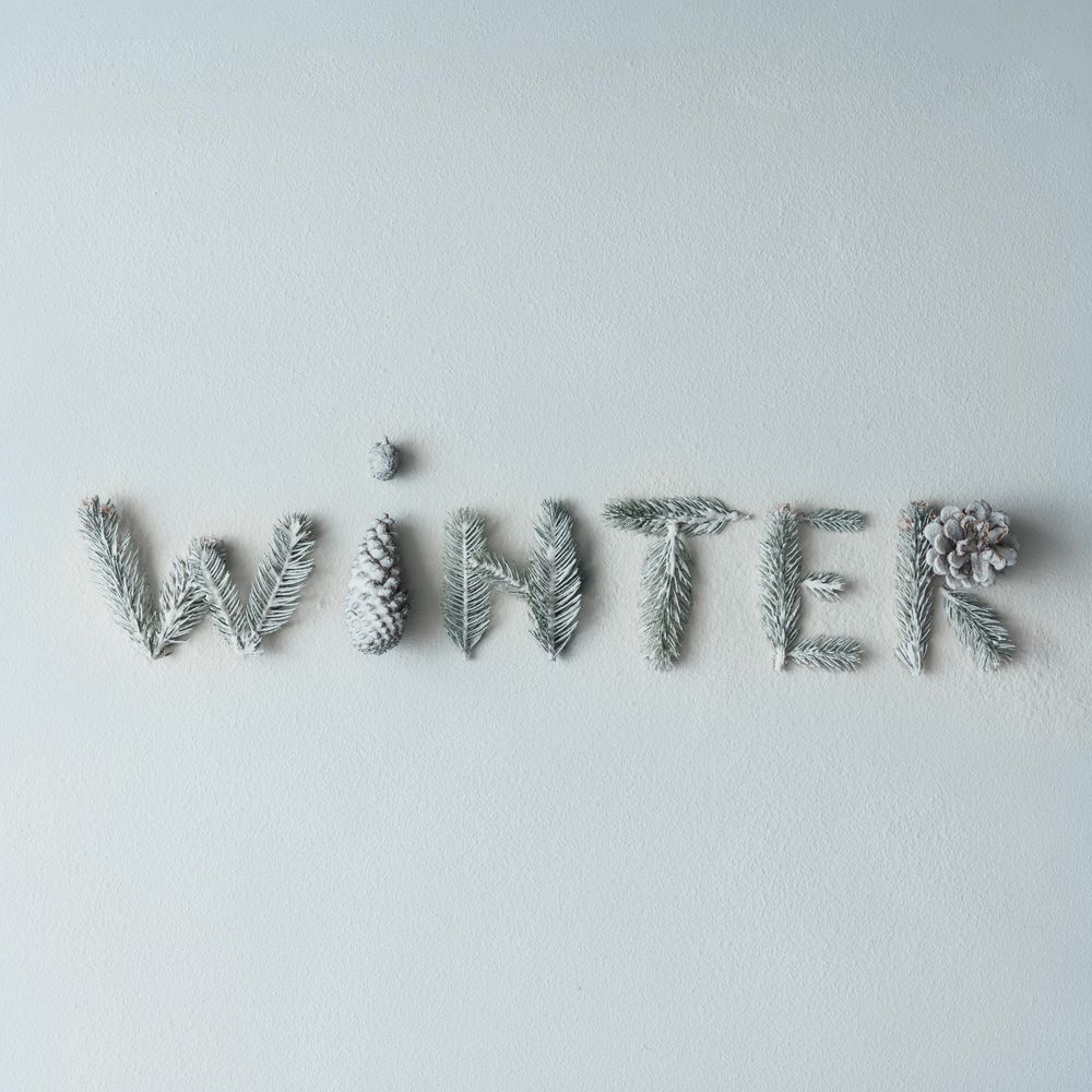 "WINTER" made of tree branches and pine cones on light background