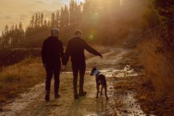 Men holding hands and walking with dog on road