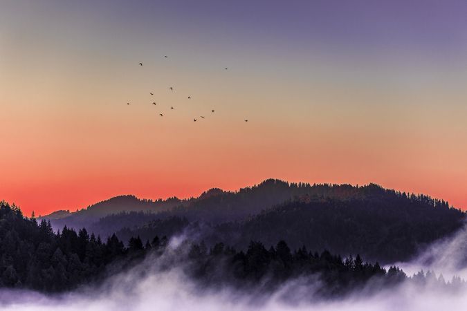 Cloudy day in the mountain at orange sunset or sunrise with birds flying