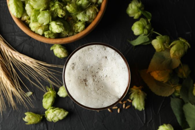 Beer, wheat and hop on dark background