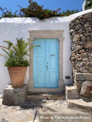 Patmian blue door with potted palm tree 56GxMd