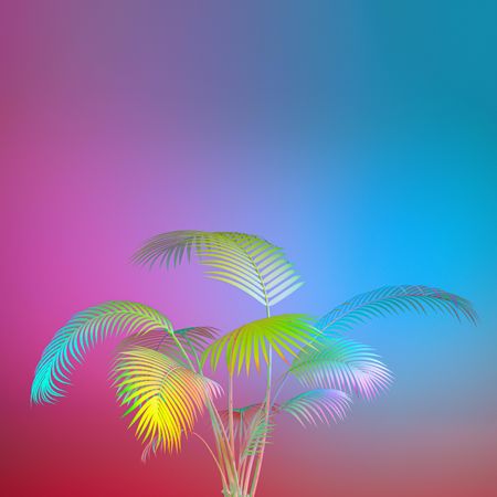 Exotic plant in bold rainbow colors against gradient blue and purple background