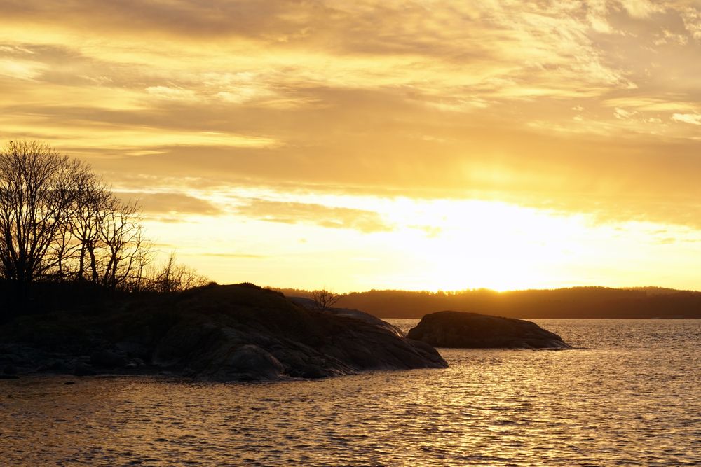 Peaceful seashore lake at sunset