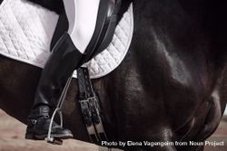 Boots of horseback rider in uniform on saddle on horse bGLL20