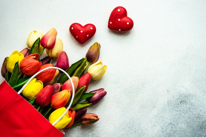 Red bag of fresh tulips on grey background with heart ornaments and copy space