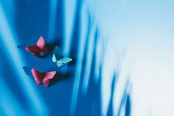 Paper butterflies on silk cloth