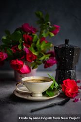 Side view of coffee set with red roses and moka pot with copy space 5zrE6N