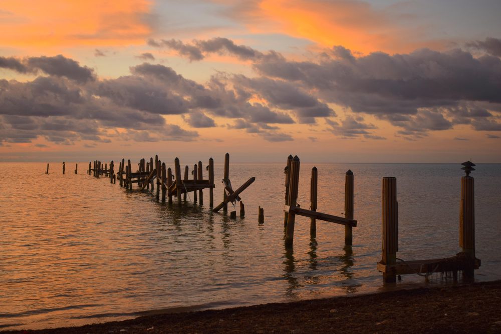 Brown wooden posts on seashore during sunset