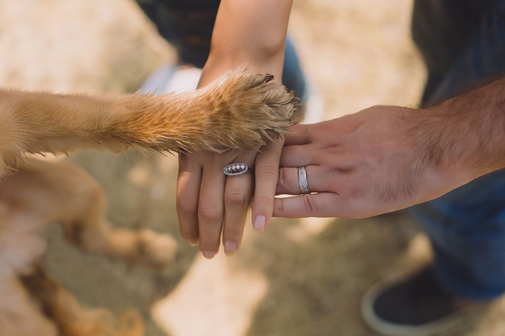 Hand stack of married couple and a dog