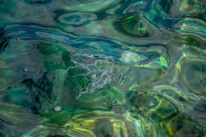 Plastic floating on water
