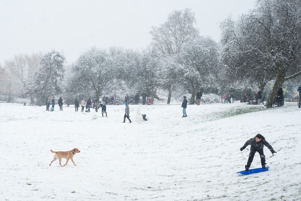 People skiing on snow