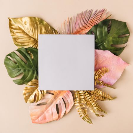 Variety of colorful leaves surrounding square paper